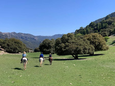 Spain-Central Spain-On the trace of the Moors